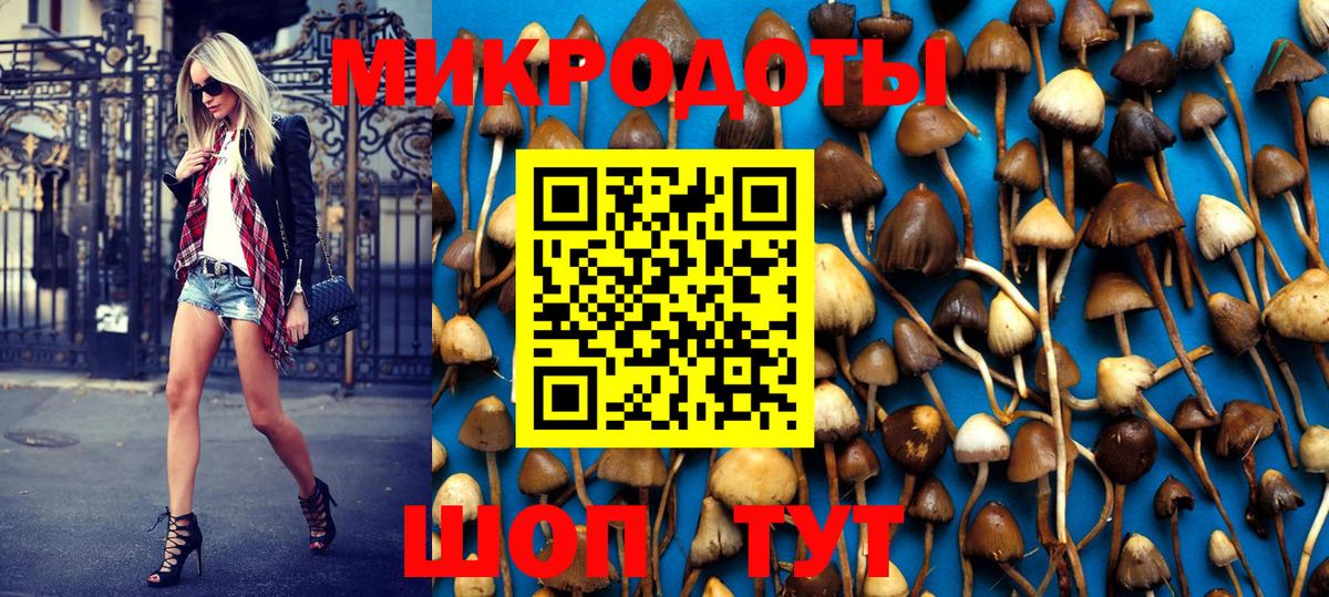 Псилоцибиновые грибы MAGIC MUSHROOMS Нововоронеж