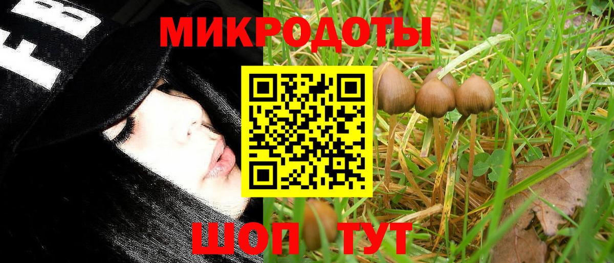 Псилоцибиновые грибы GOLDEN TEACHER  Галлюциногенные грибы GOLDEN TEACHER  Вход с VPN  Нововоронеж 